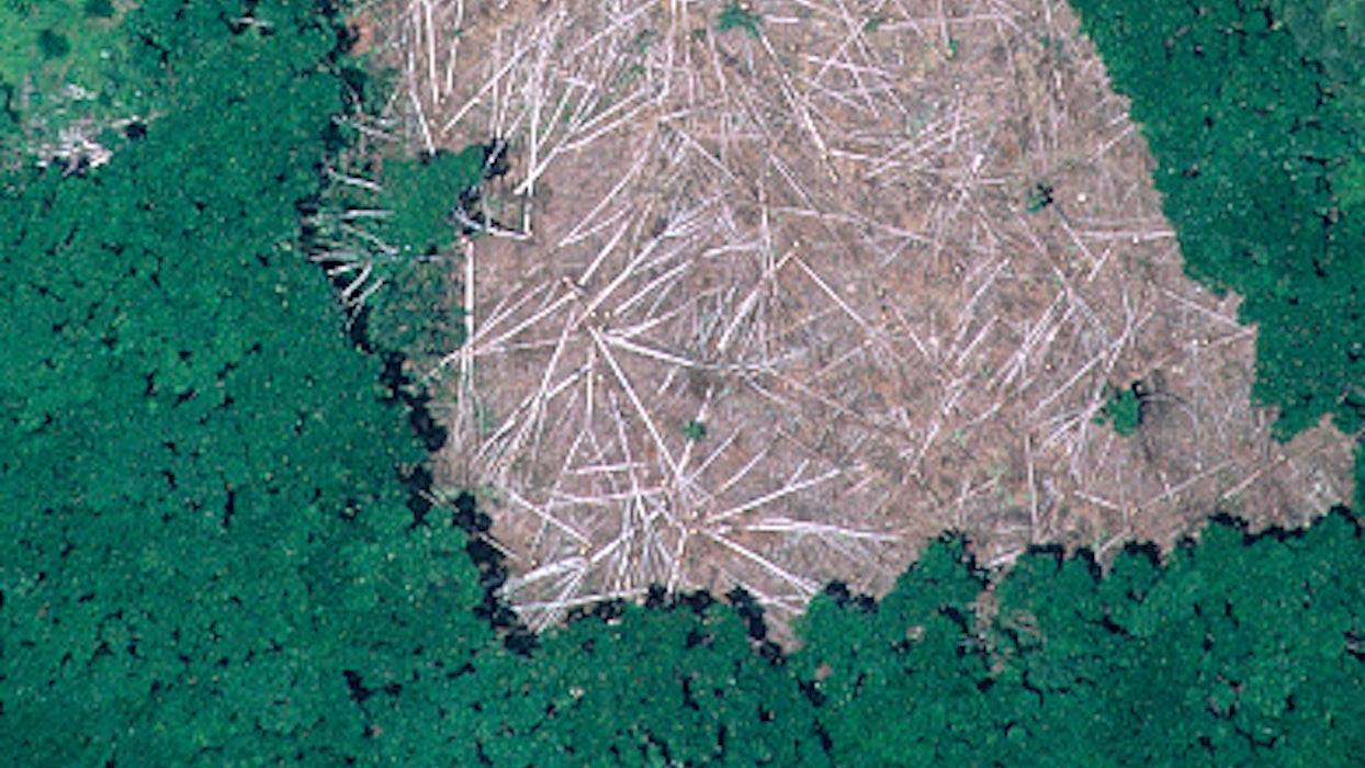 Déforestation au Brésil léquivalent dun million de terrains de foot