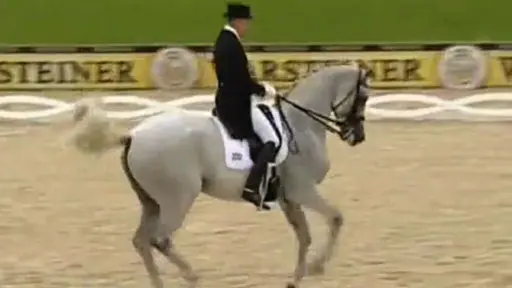 Hip Hop Dressage