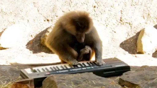 Monkeys + Synthesizers – Voltfestivalen