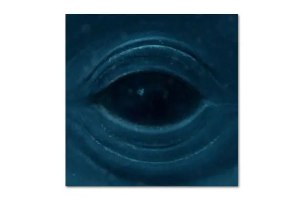 Frank Ocean – Blue Whale