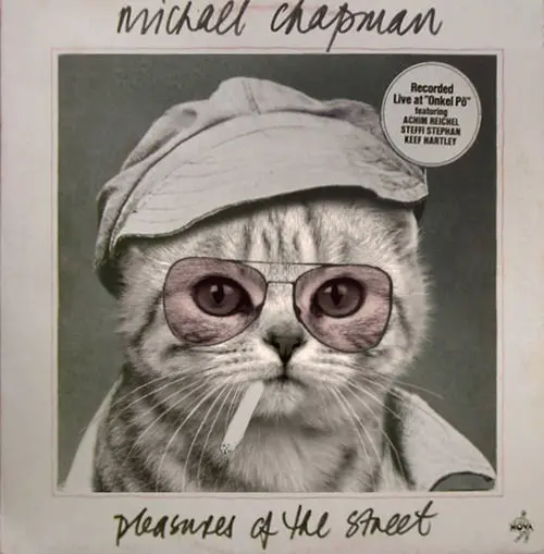 Ces pochettes d’albums revues avec… des chats