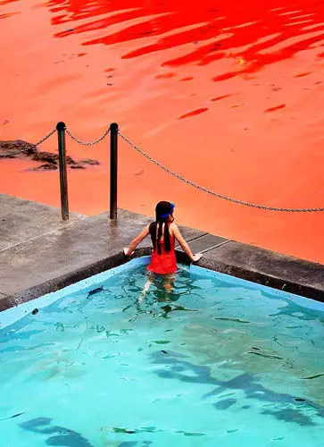 Photo : flash sur les eaux australiennes qui virent au rouge