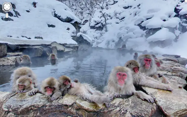 Le monde est une fable sous Google Street View