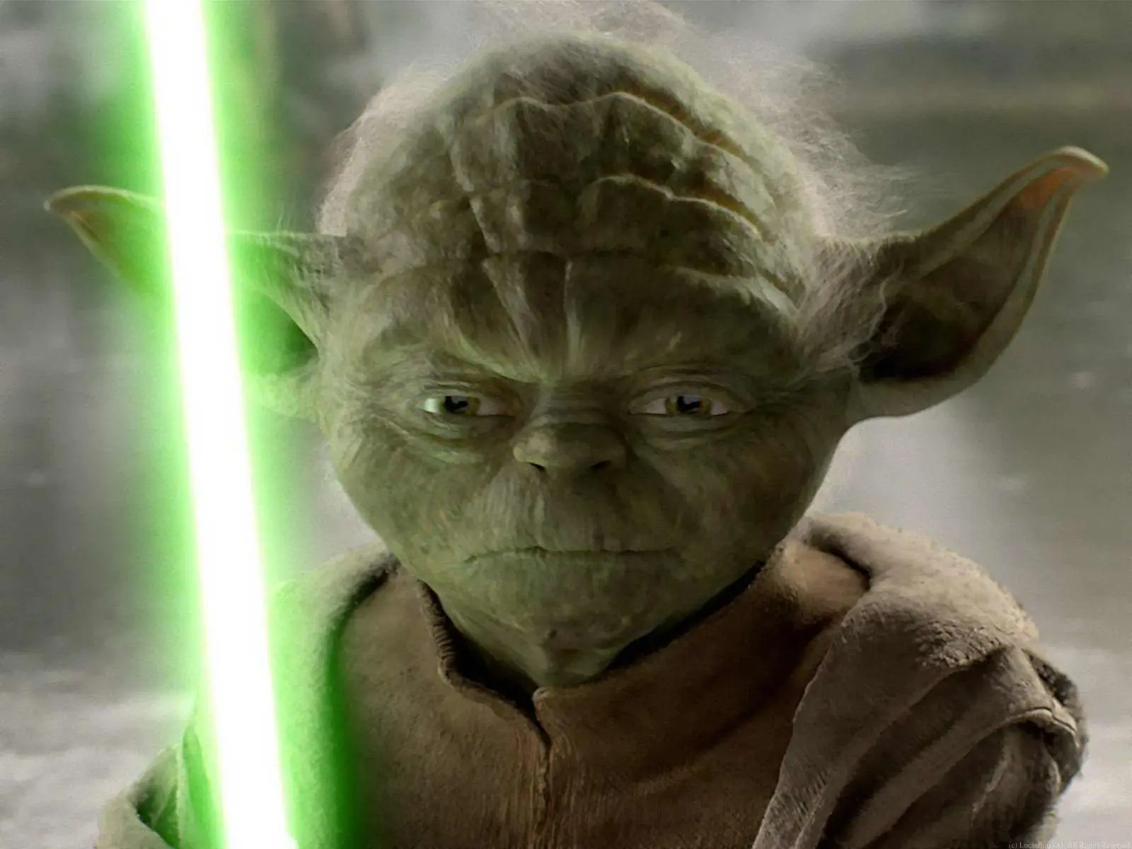 Disney pourrait réaliser un film autour de Yoda