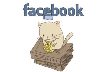 Facebook, Twitter, Tumblr : Internet expliqué par les chats