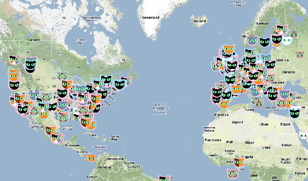 Cat Map : la carte interactive des chats dans le monde