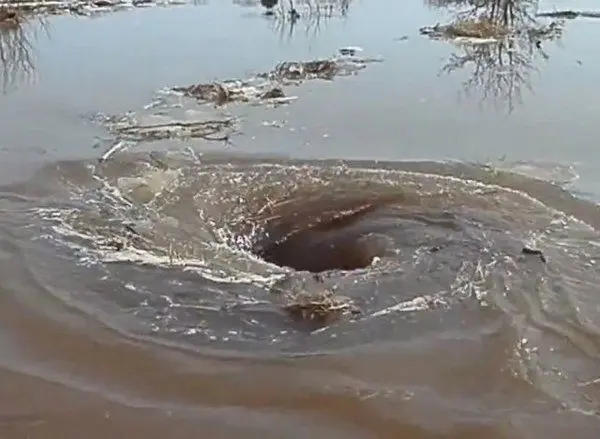 Vidéo : un drôle de tourbillon s’est formé dans un fleuve letton