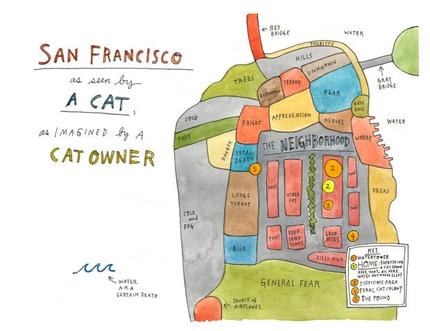 Lost Cat : San Francisco vu par des chats