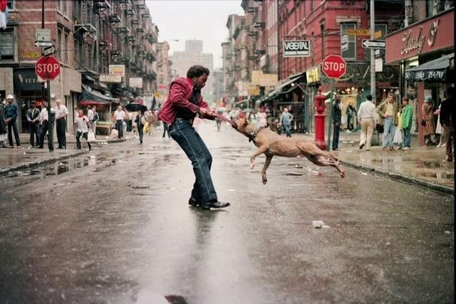 Everybody Street : un trailer pour un docu photo à New York