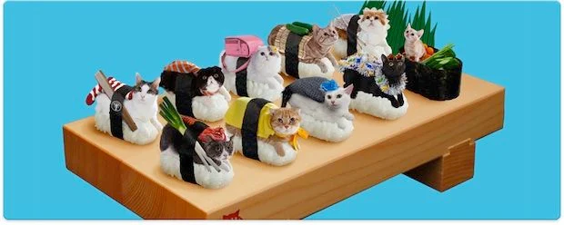 Concept Sushi Cat : des chats et des sushis, mashup ultime