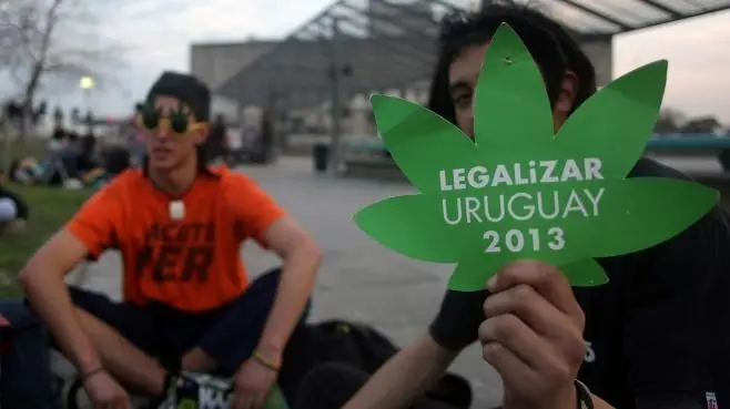L’Uruguay en passe de légaliser la vente de cannabis