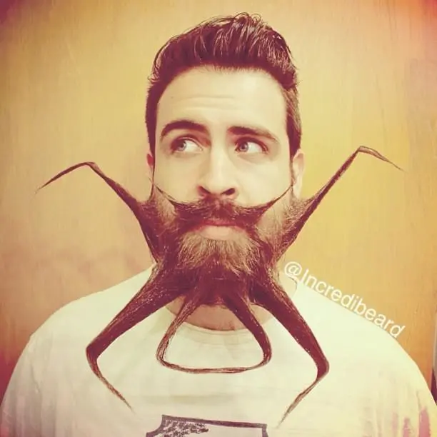 Incredibeard : l’homme à la barbe qui décoiffe