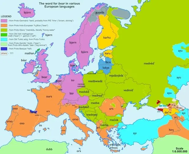 Cartographie : étymologie européenne