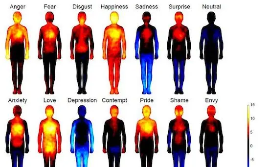 Peur ou surprise : la carte de notre corps en fonction de nos émotions