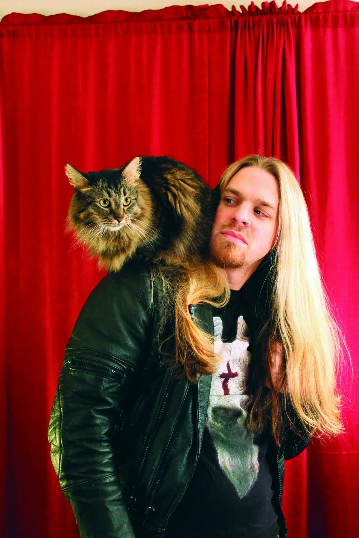 Metal Cats : parce que les metalleux aiment aussi leurs chats