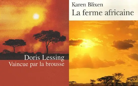 Pourquoi les livres sur l’Afrique ont tous la même couverture