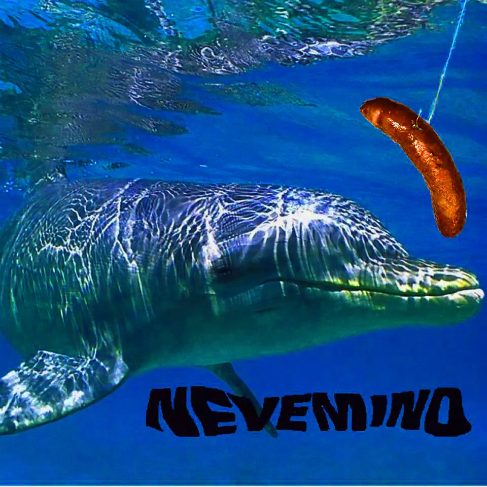 “Nevemind”, l’hommage le plus timbré à l’album culte de Nirvana