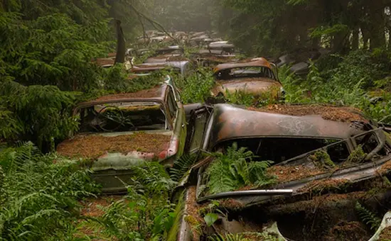 Dans une forêt belge, un mystérieux cimetière de voitures fantômes