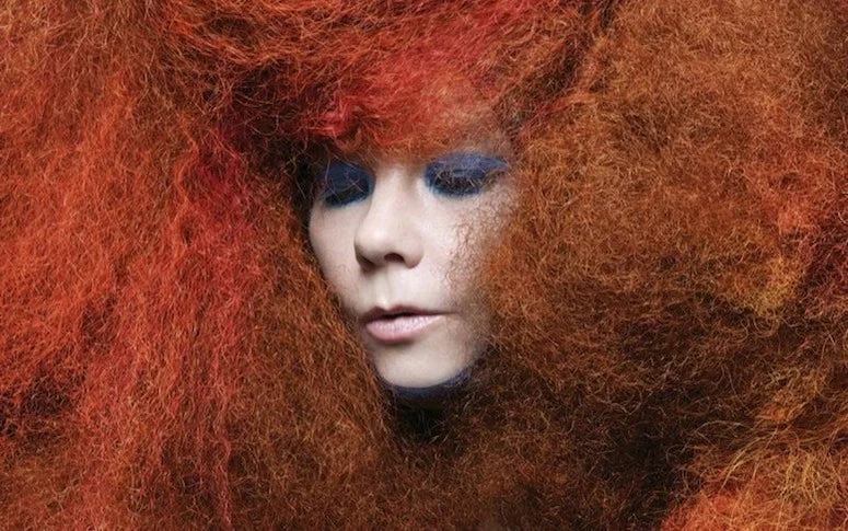 Björk annonce Vulnicura, son prochain album