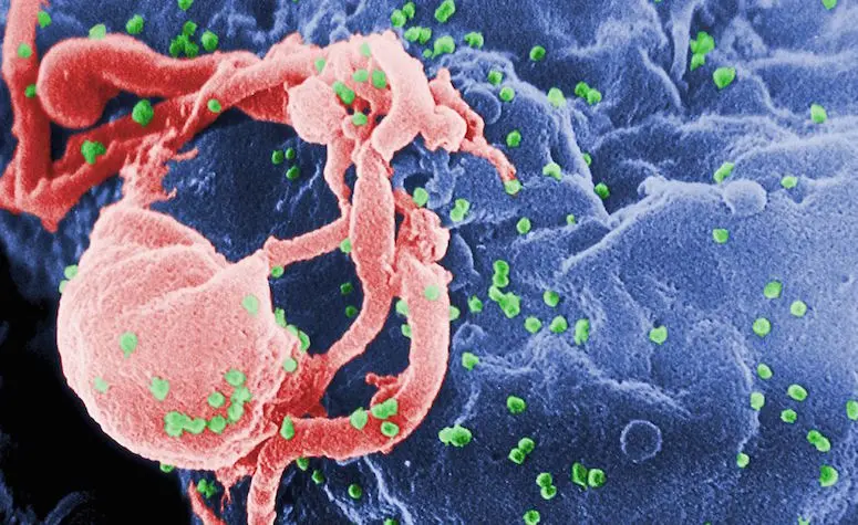 SIDA : une protection pendant 8 mois bientôt possible ?