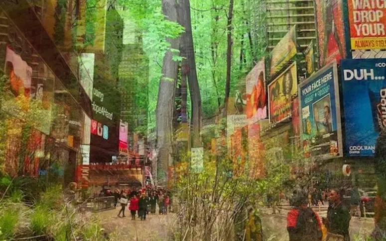En images : et si Times Square devenait une forêt ?