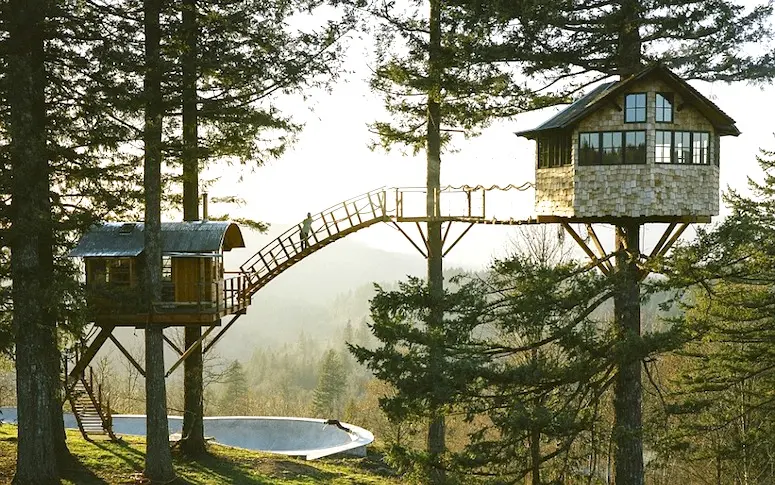 Vidéo : ce skatepark dans les arbres est un petit bout de paradis