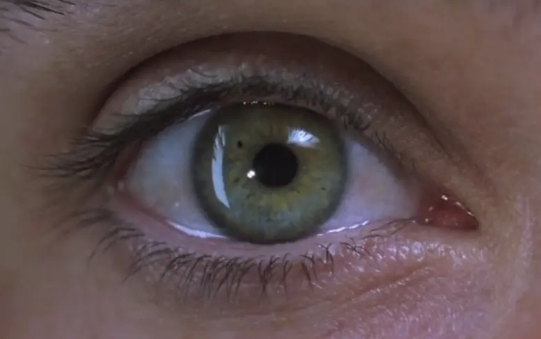 Requiem for a Dream : les gros plans et les bruitages du film en une vidéo