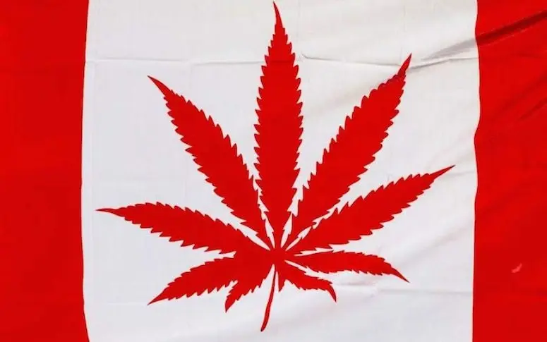 Au Canada, les étudiants pourront étudier le business du cannabis