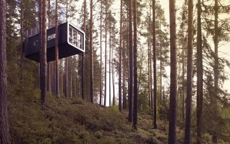 En images : des hôtels suspendus dans la forêt suédoise
