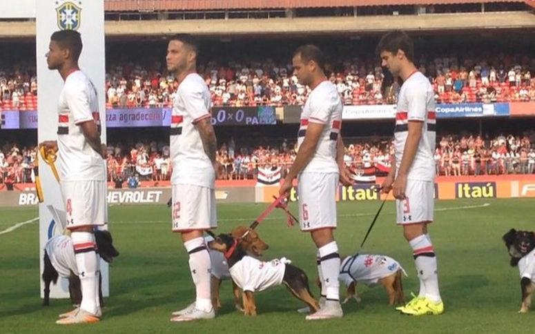 L’entrée très spéciale des joueurs de São Paulo