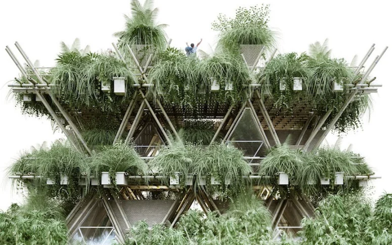 Cette ville de bambous pourrait voir le jour en 2023