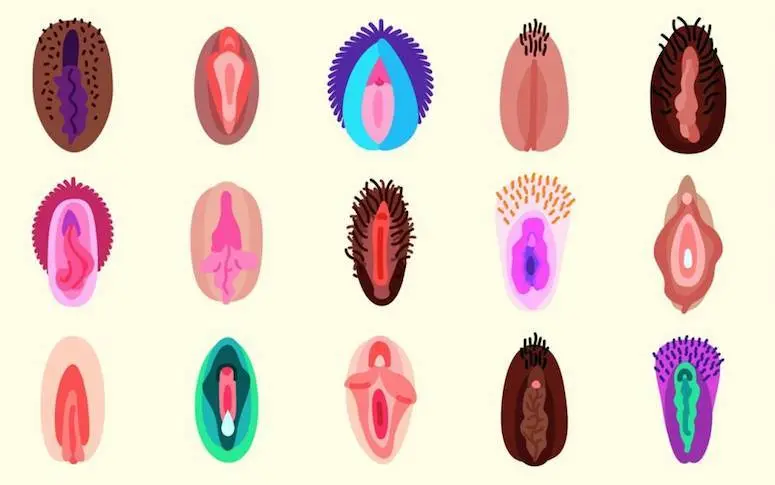 Sexter devient plus facile avec ces emojis de vulves