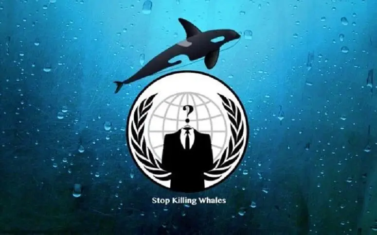 Chasse à la baleine : les Anonymous hackent plusieurs sites du gouvernement islandais