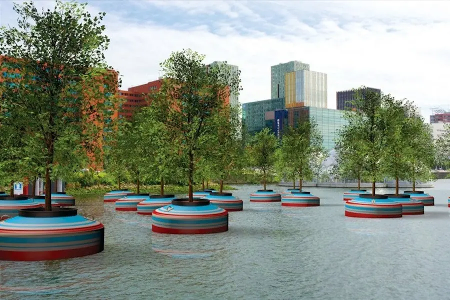 Une forêt flottante va voir le jour dans le port de Rotterdam