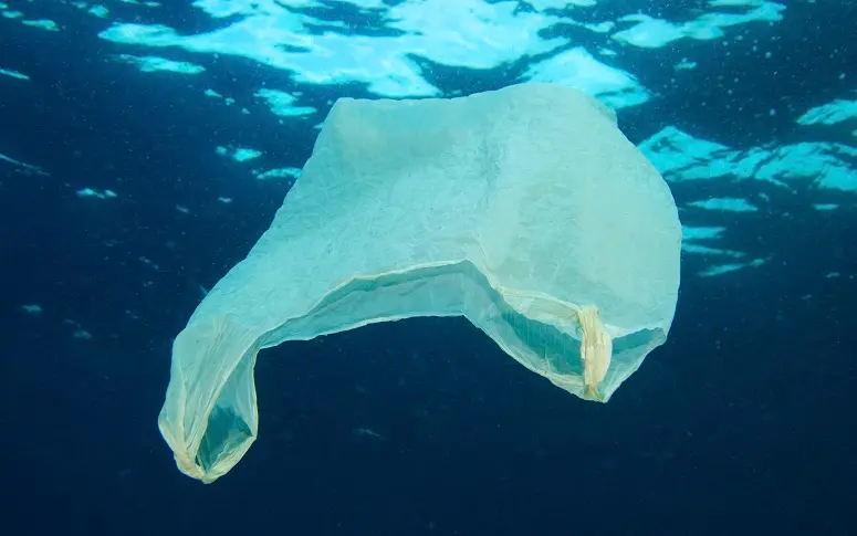 En 2050, les océans abriteront plus de plastique que de poissons