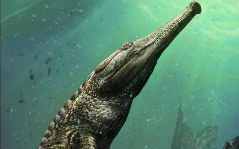 Le fossile d’un crocodile géant a été découvert en Tunisie