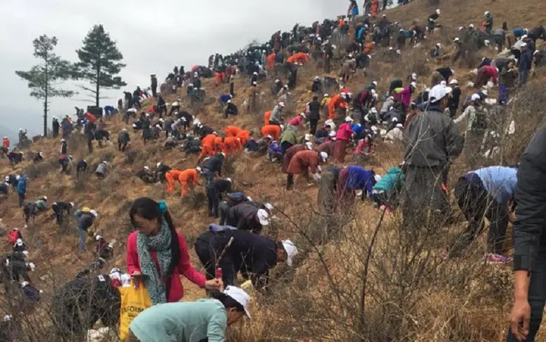 Le Bhoutan célèbre la naissance de son prince héritier en plantant 108 000 arbres