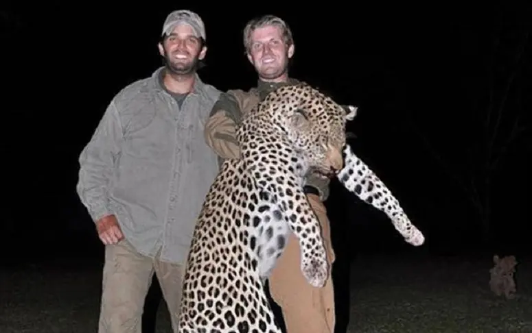 Quand les fils Trump chassent des animaux protégés en toute impunité