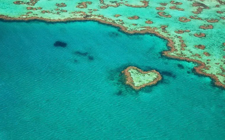 La Grande Barrière de corail australienne se décolore dangereusement