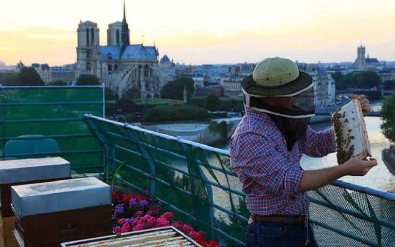 Nicolas Geant sur les toits de Paris - Photo Beeopic entreprise