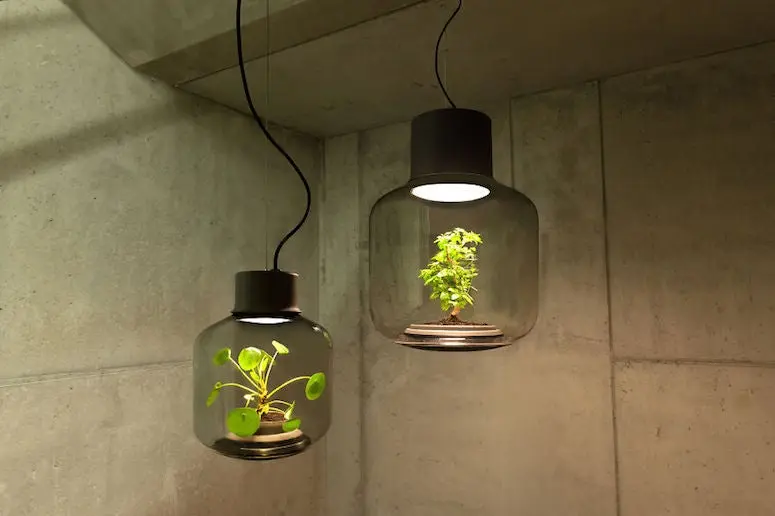 Ces lampes magiques font pousser des plantes sans eau ni lumière naturelle