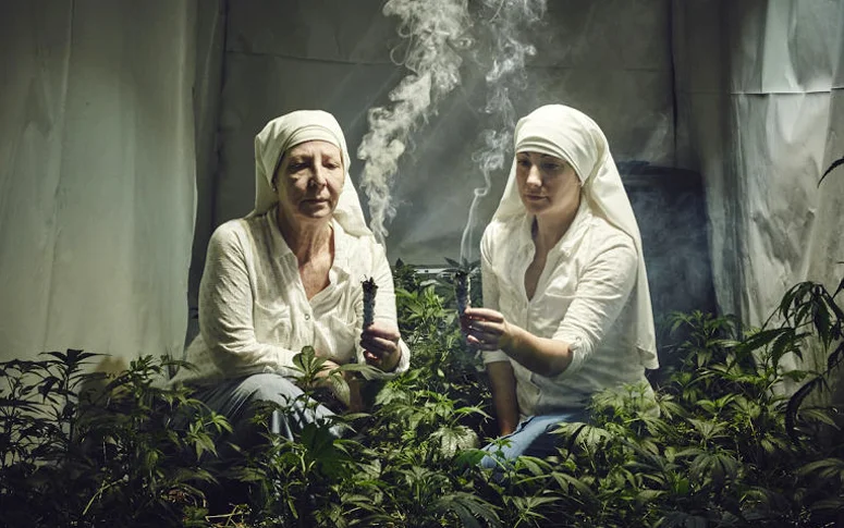 Saint Cannabis : apprenez à faire pousser de l’herbe avec les sœurs de l’ordre de la weed