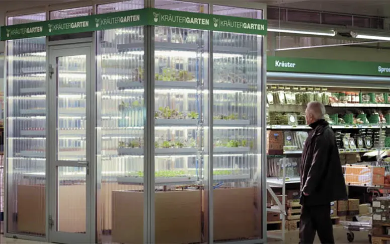 À Berlin, un supermarché accueille une microferme pour faire pousser ses légumes
