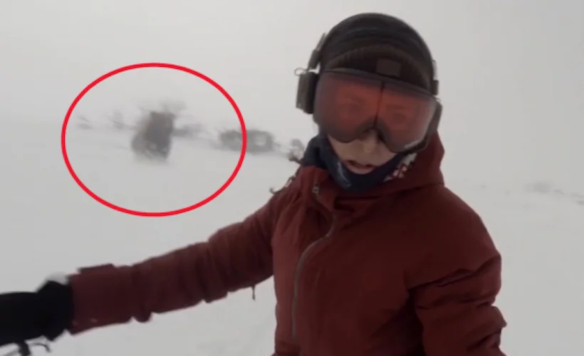 La vidéo d’une snowboardeuse soi-disant poursuivie par un ours fait le tour du web