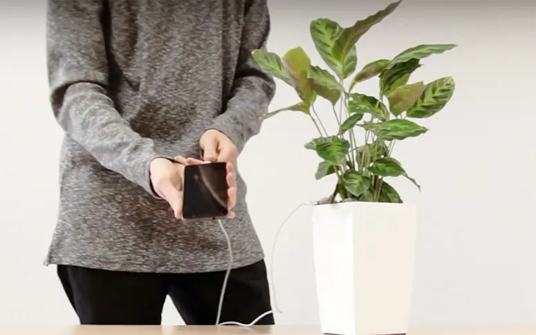 Désormais, vous pouvez recharger votre portable avec une plante