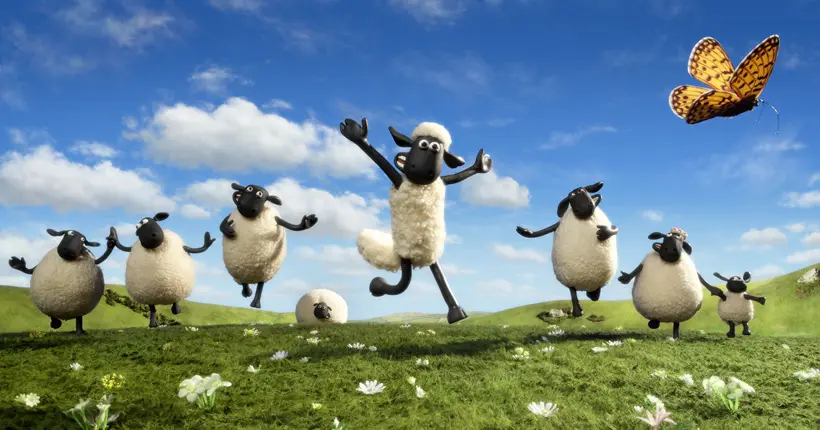 Au pays de Galles, des moutons défoncés au cannabis foutent le bordel