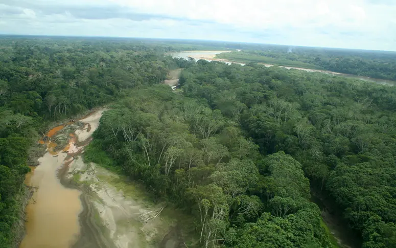 Pour préserver la forêt amazonienne, le Brésil s’engage contre les cultures illégales de soja