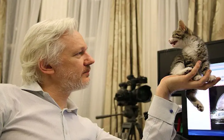 Julian Assange adopte un chaton offert par ses enfants pour combler sa solitude