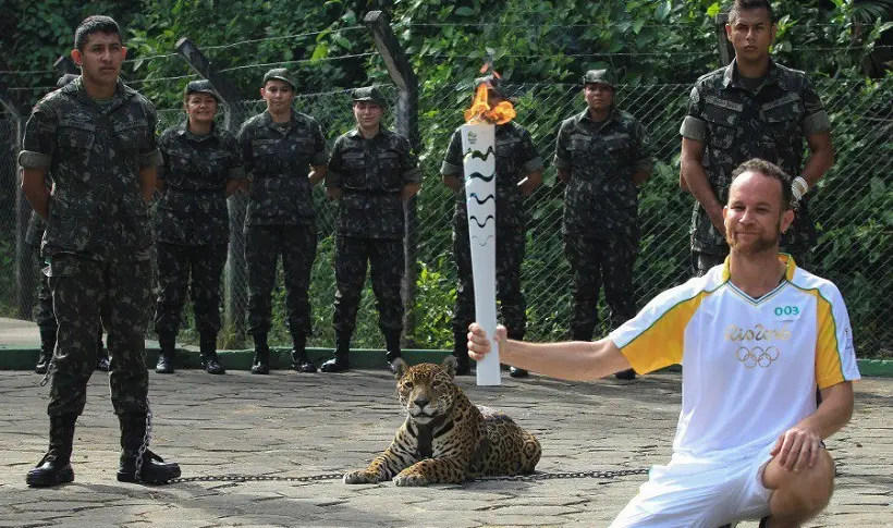 Un jaguar exhibé au passage de la flamme olympique a été abattu