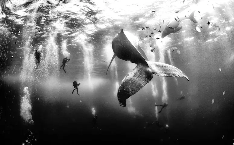 En images : National Geographic dévoile le palmarès de son concours photo